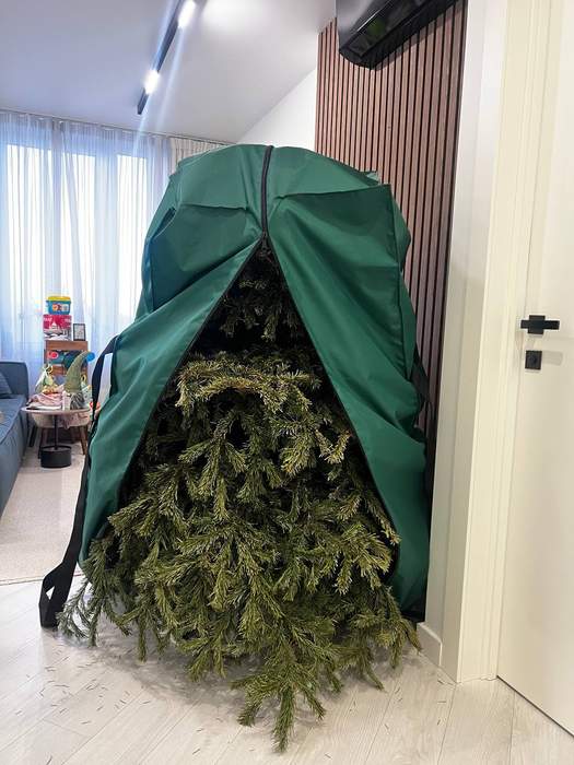 Перед виносом ялинка повністю накривається спеціальним мішком